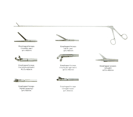 ENT Esophagoscope Instruments